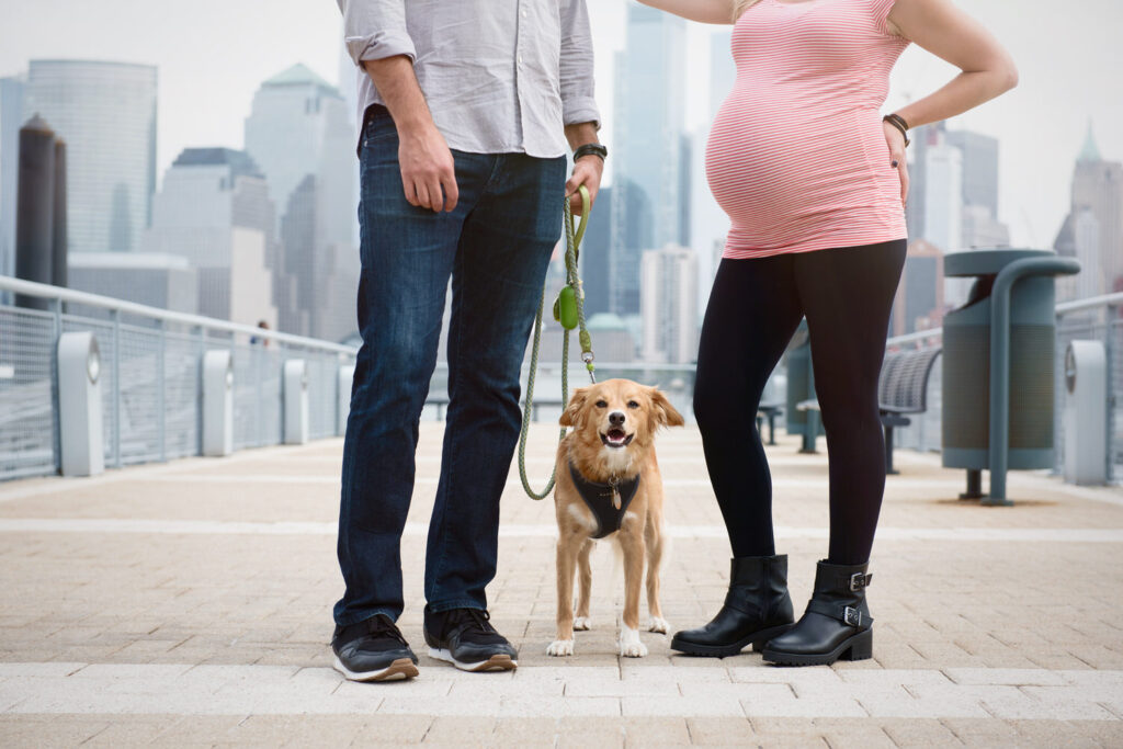 A pregnant woman and a man stand on a city pier with their dog, the city skyline visible behind them.