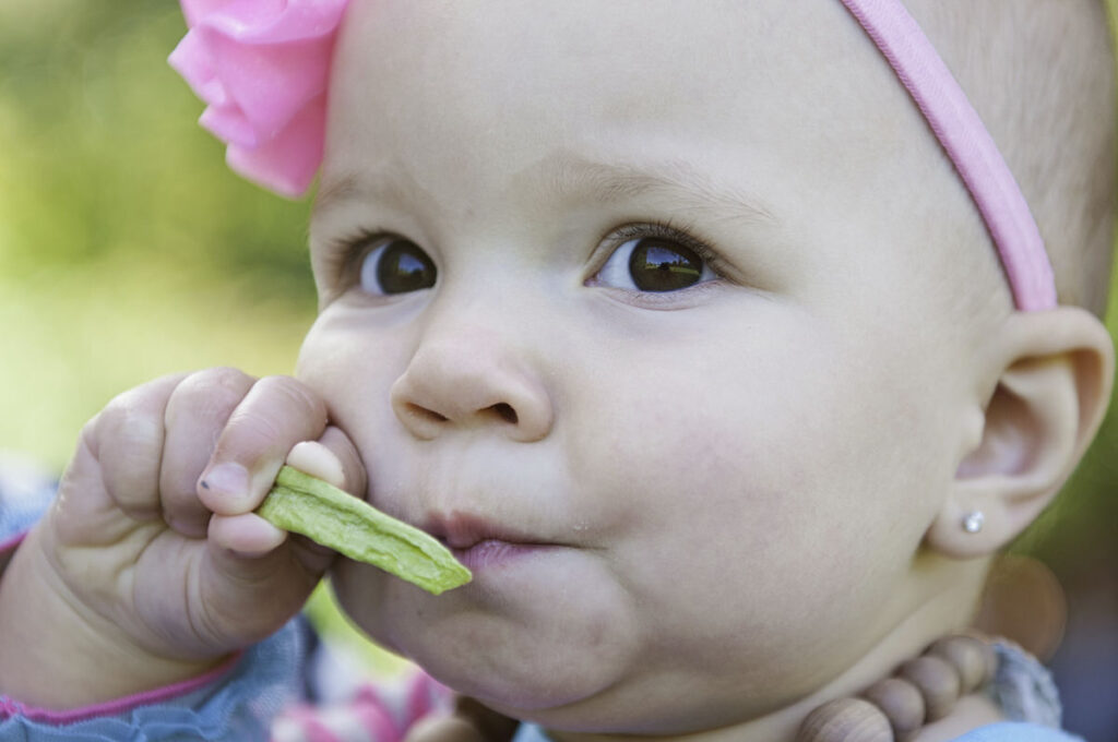 A baby holding a green snack up to their lips 